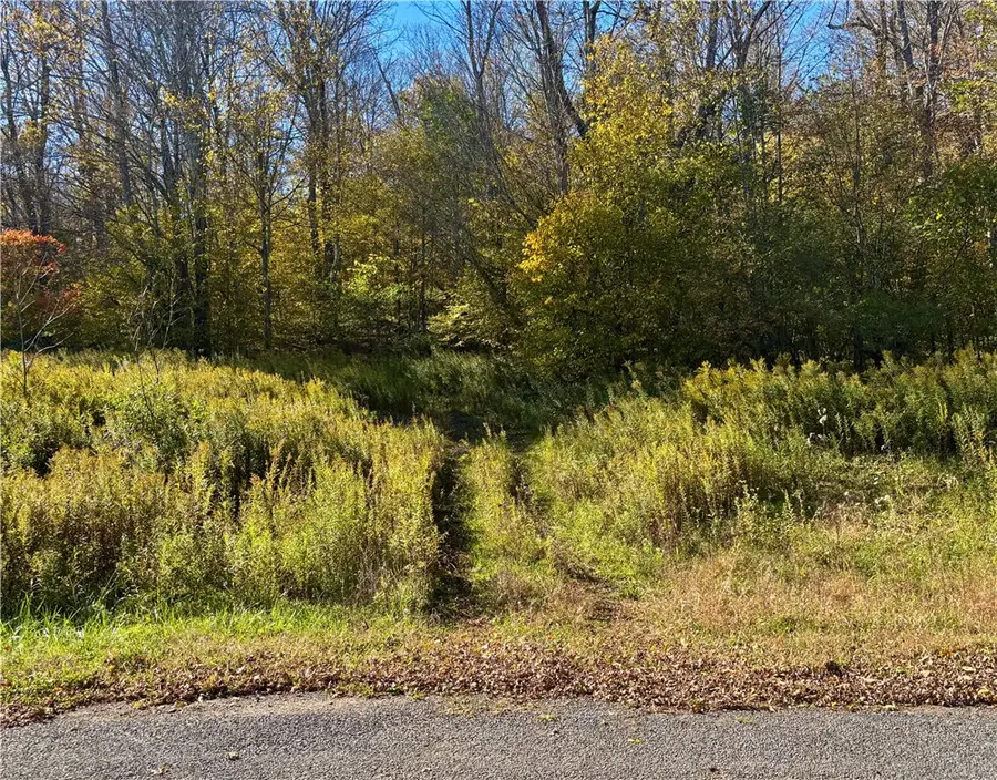 Lot 14 Heatherland Lane, Halcottsville, NY 12438 - #2