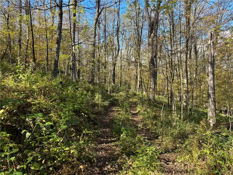 Lot 14 Heatherland Lane, Halcottsville, NY 12438 - #3