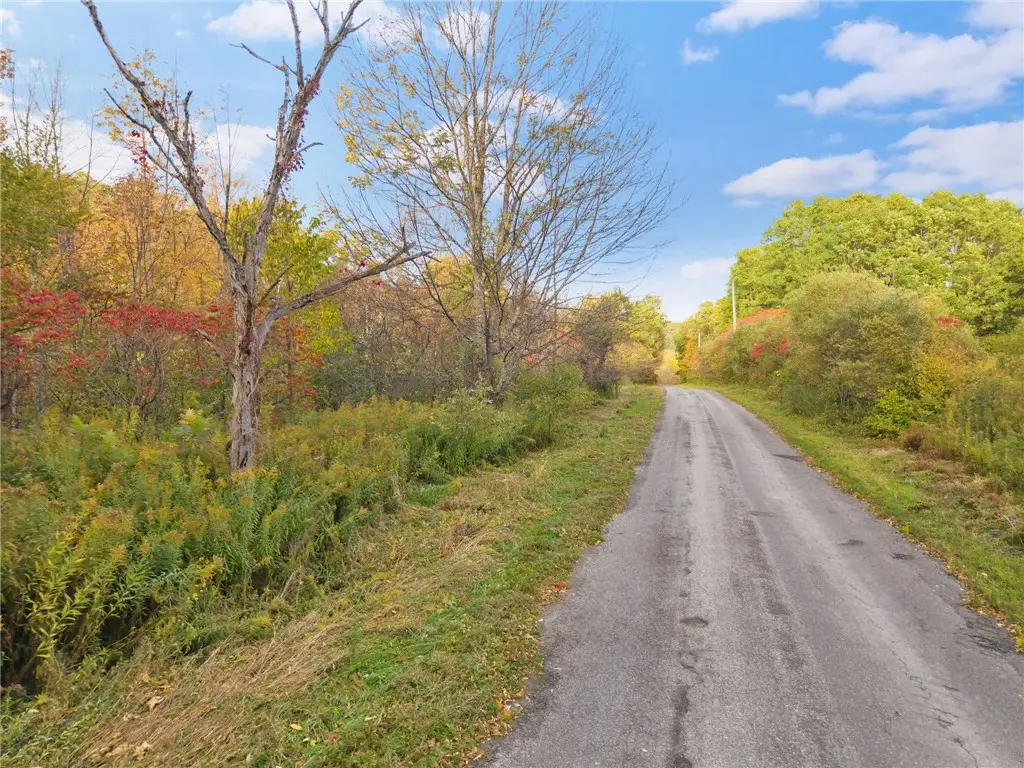 541 Decatur Road, Cobleskill, NY 12043 - #1