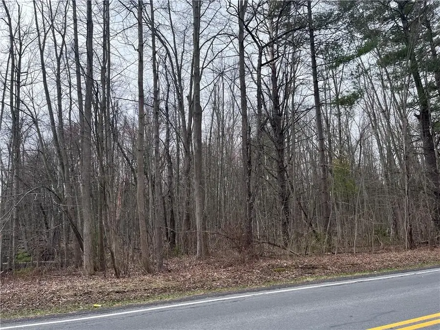 0 Packwood Road, Waterloo, NY 13165 - #2