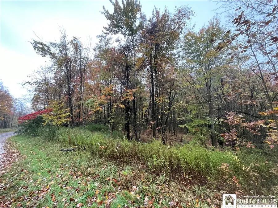 Park Road, Cassadaga, NY 14718 - #2