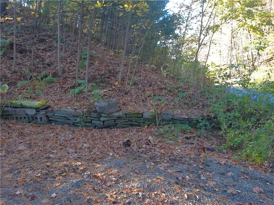 131 Saint John Road, Afton, NY 13730 - #2