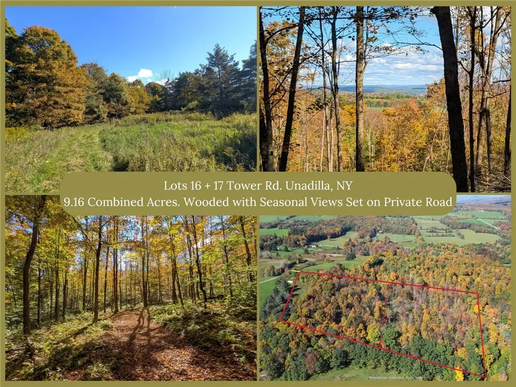 Lot 16 + 17 Tower Road, Unadilla, NY 13849 - #1