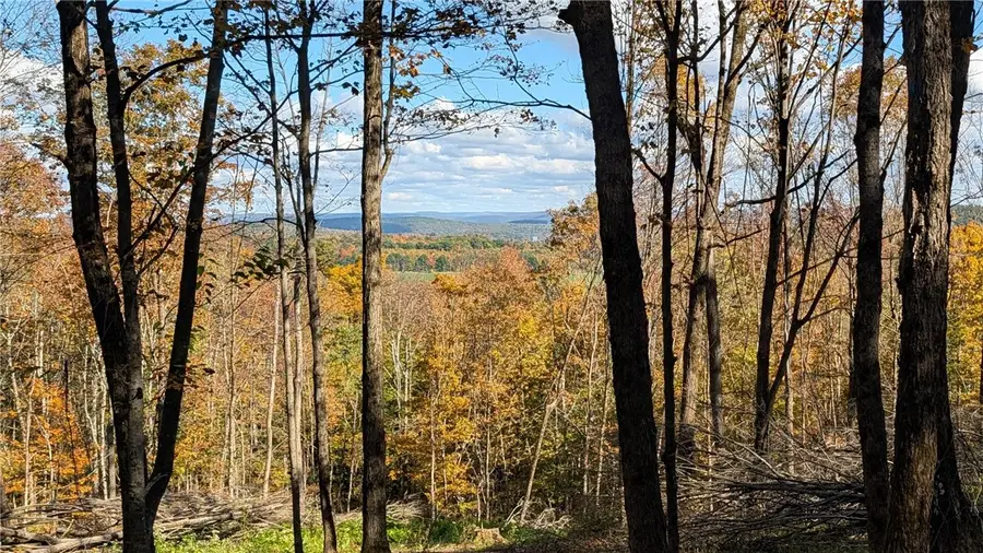 Lot 16 + 17 Tower Road, Unadilla, NY 13849 - #3