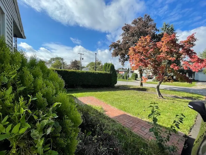 23 Willmont Street, Rochester, NY 14609 - #3