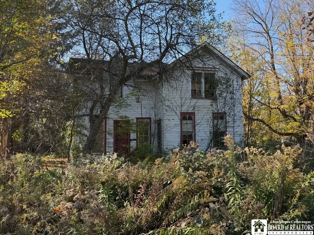 7341 Mill Street, Stockton, NY 14784 - #1