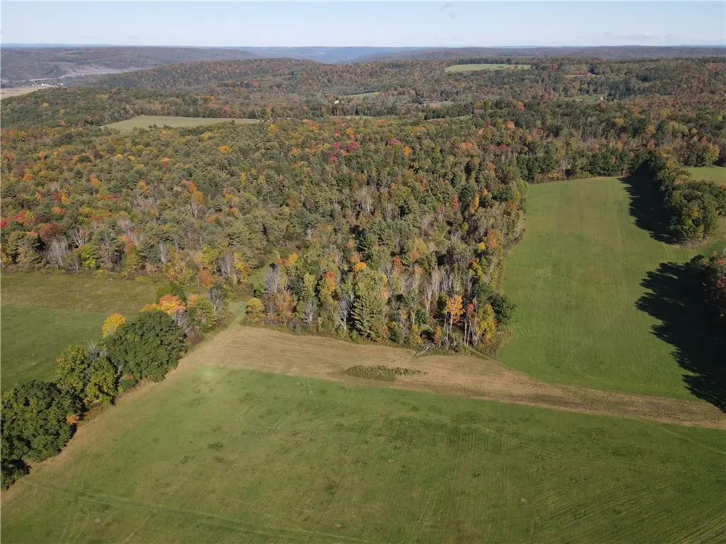 Browntown Road, Lindley, NY 14858 - #1
