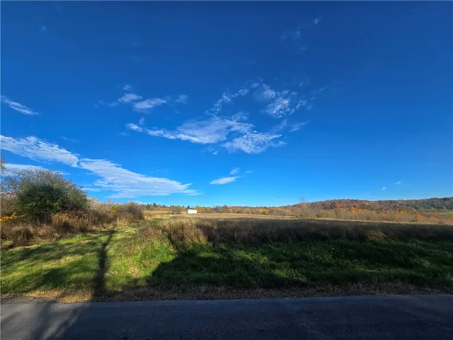 476 Hopkins Crandall Road, Smyrna, NY 13464 - #3