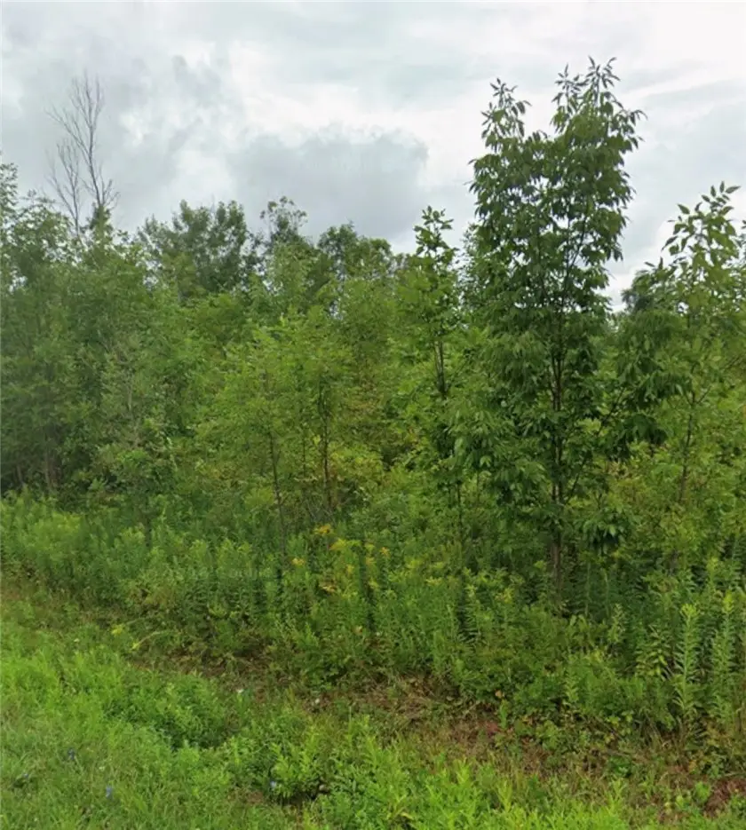 130 State Route 69, Mexico, NY 13114 - #2