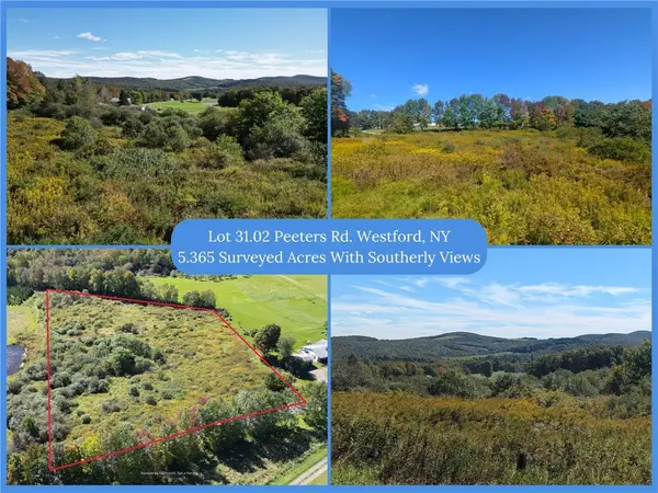 Lot 31.02 Peeters Road, Schenevus, NY 12155