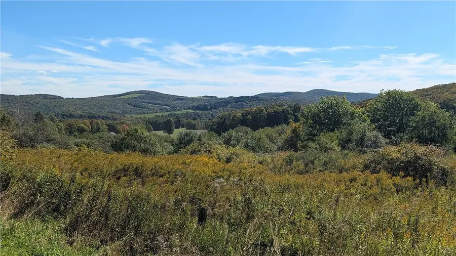 Lot 31.02 Peeters Road, Schenevus, NY 12155 - #3