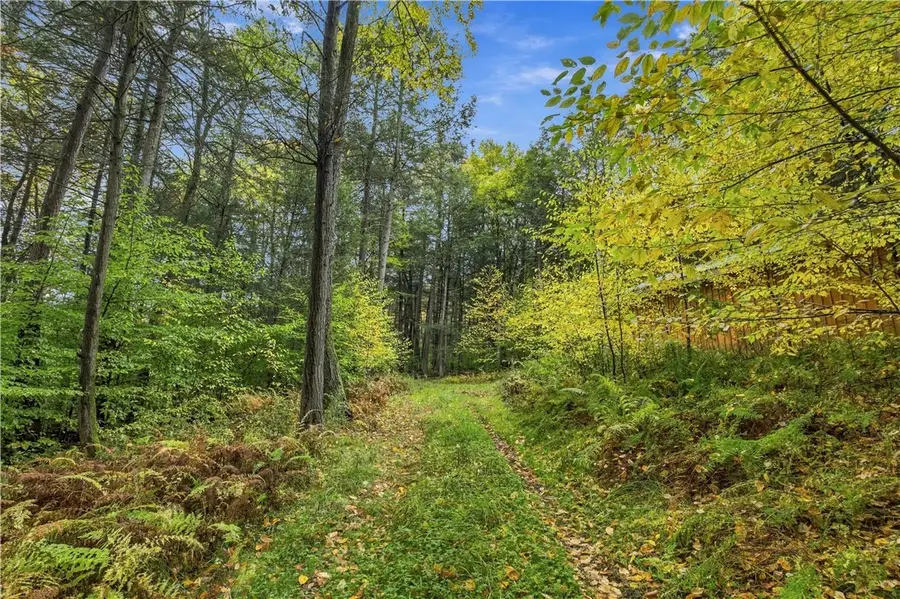 7025 Boot Jack Road, Bath, NY 14810 - #3