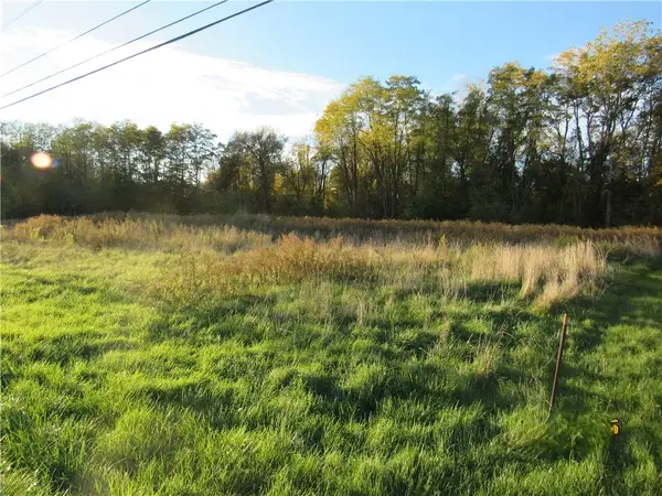 Forgham, Lyons, NY 14489