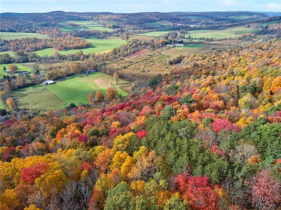 872 Brown Road, Berkshire, NY 13736 - #3