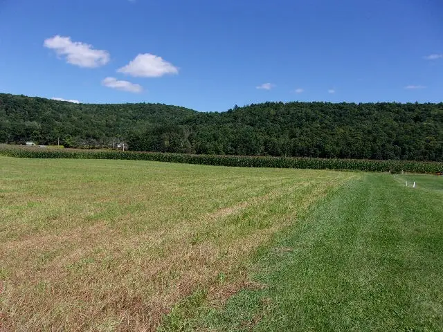 Reservoir Hill, Candor, NY 13743 - #1