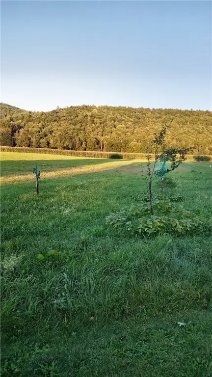 Reservoir Hill, Candor, NY 13743 - #3