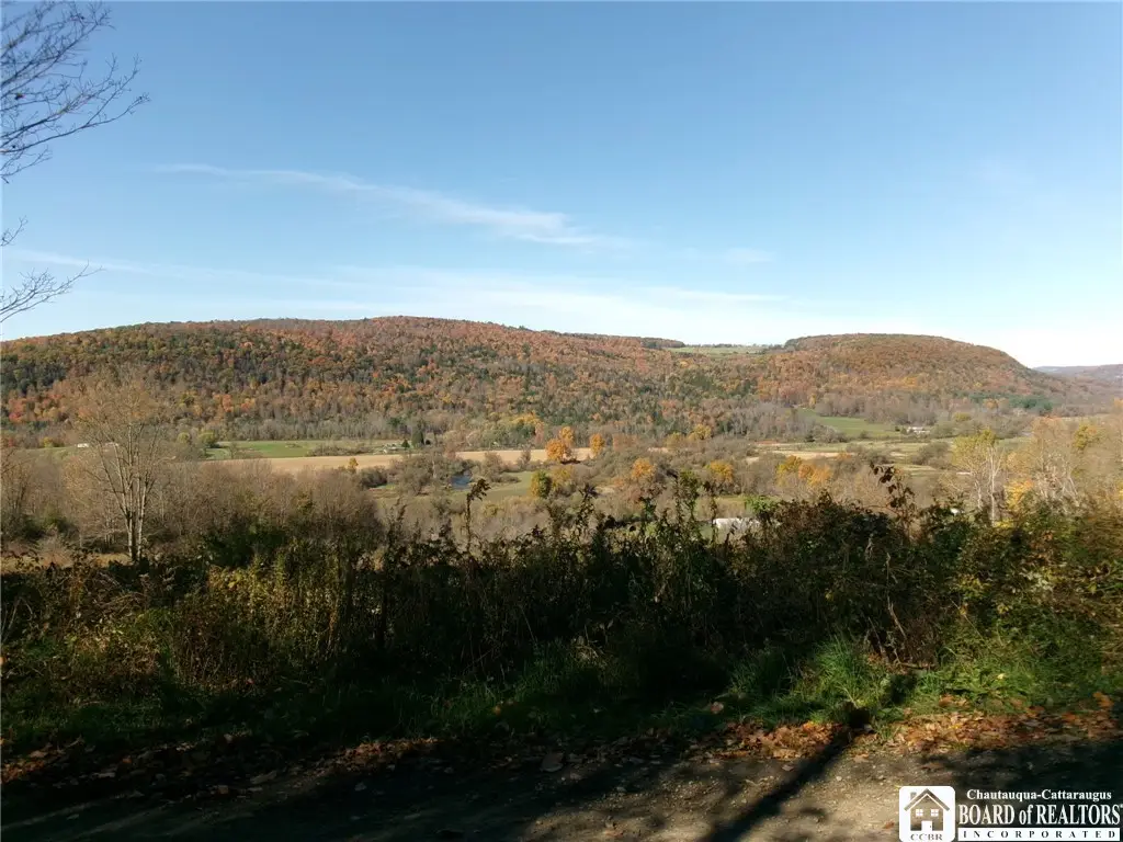 Ripple Road, Norwich, NY 13815 - #1