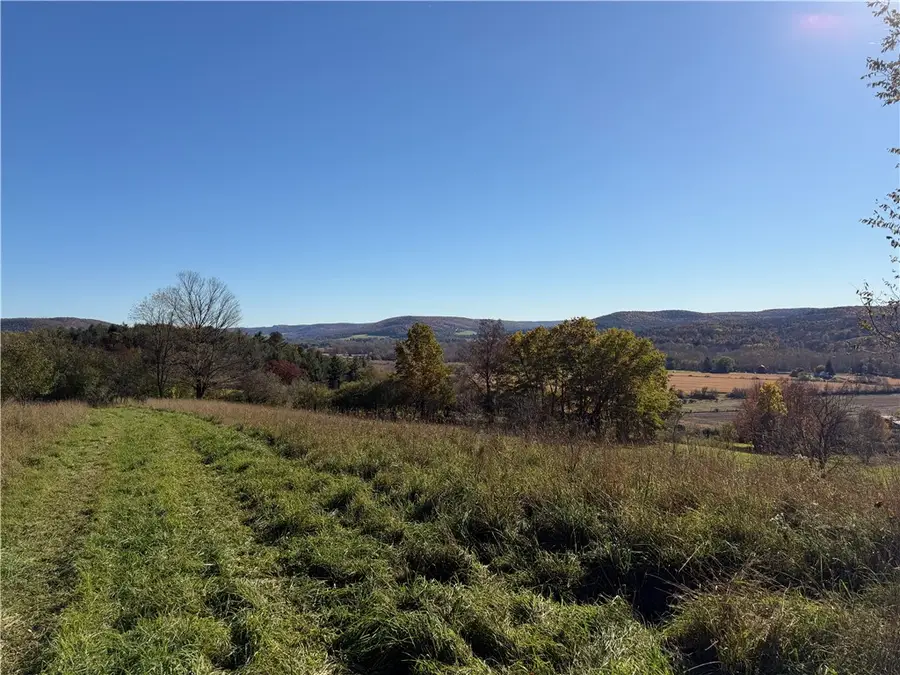 VL Noble Road, Belmont, NY 14813 - #3