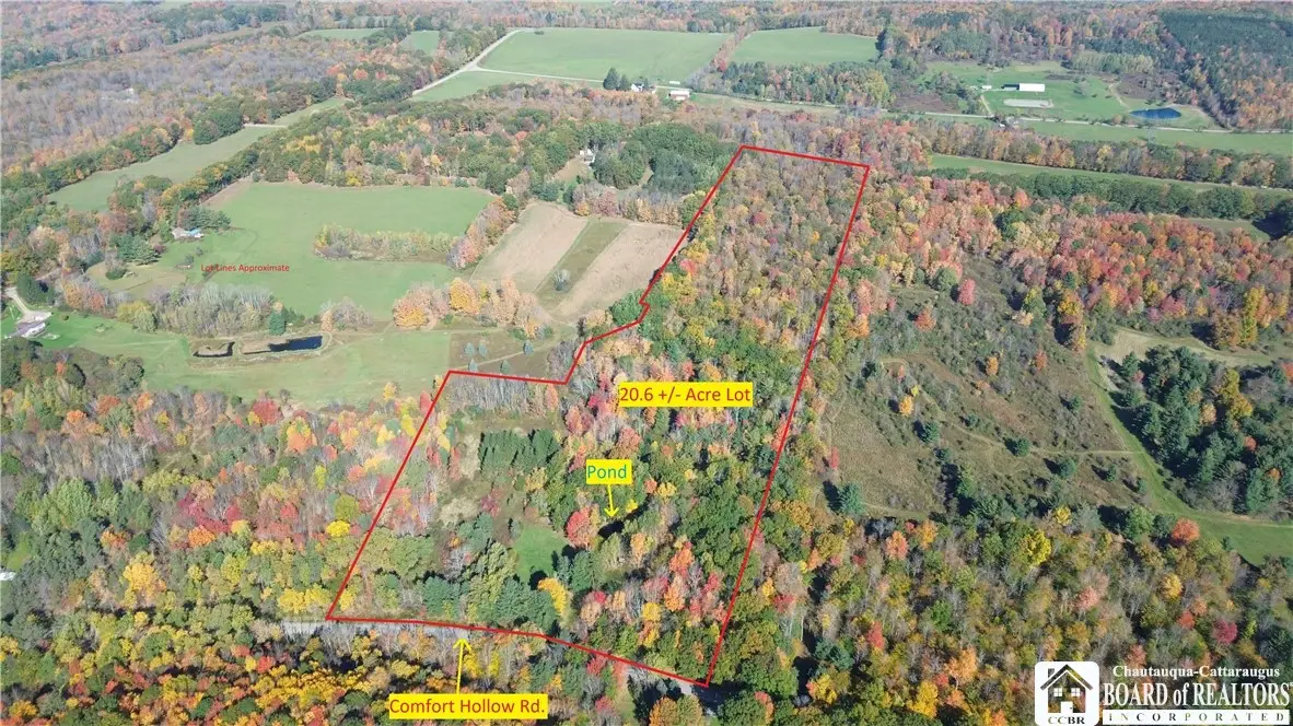 5794 Comfort Hollow Road, Scio, NY 14880 - #1