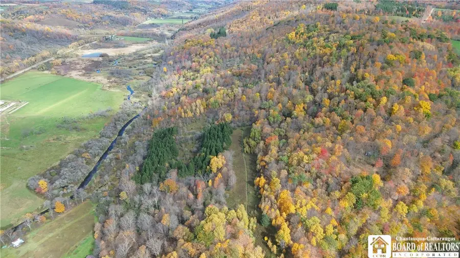 Paynesville Hill Road, Whitesville, NY 14897 - #2