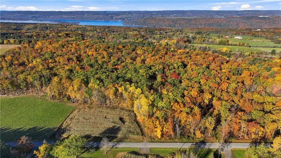 0 Andrews Hill, Dundee, NY 14837 - #3