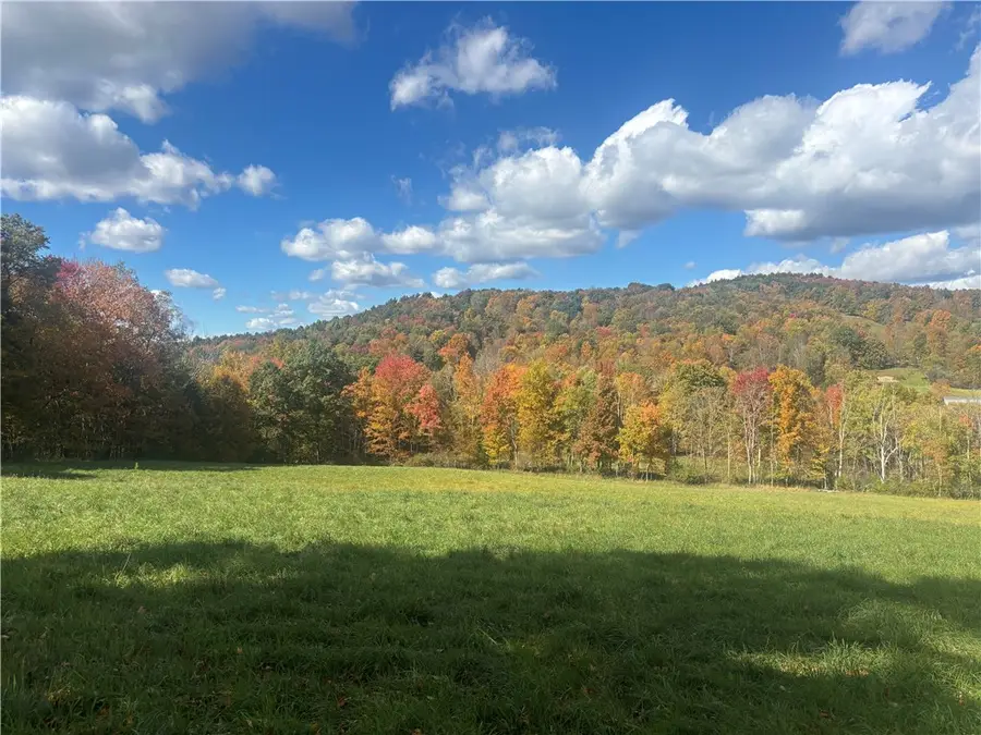 453 Triverfield Road, Sidney, NY 13838 - #2