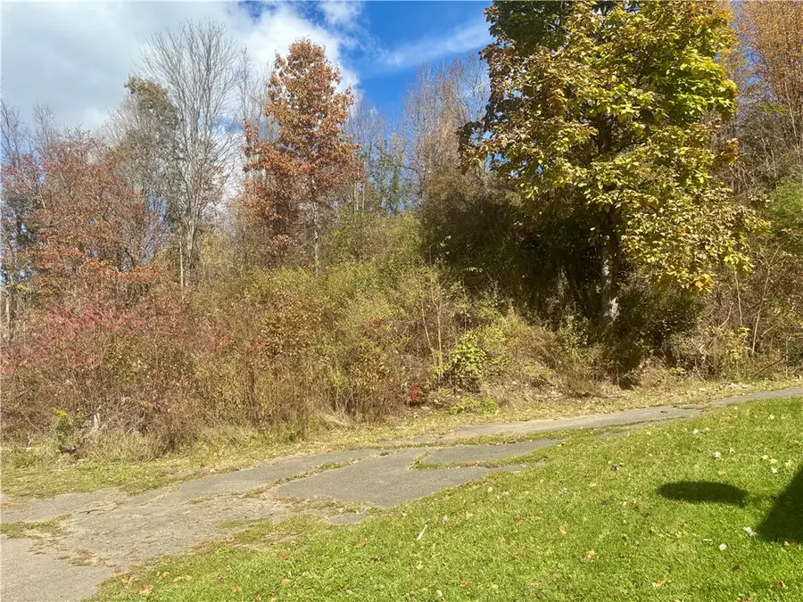 1011 County Road 58, Arkport, NY 14807 - #3