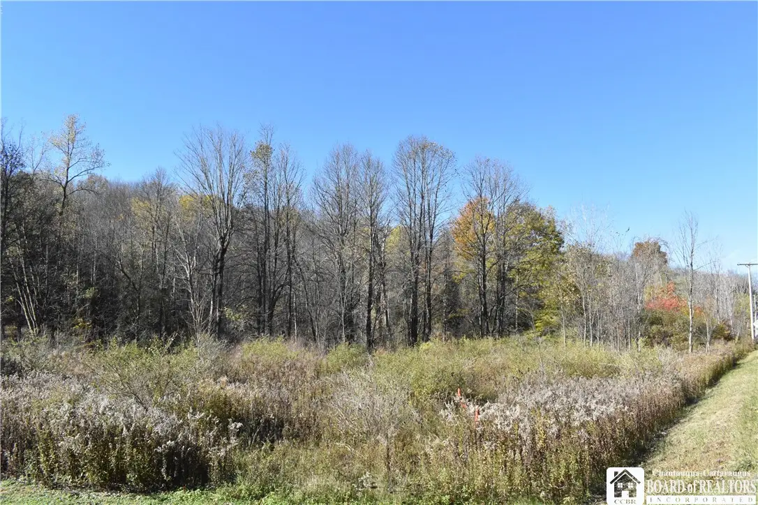 11088 Springville Boston Road, East Concord, NY 14055 - #1