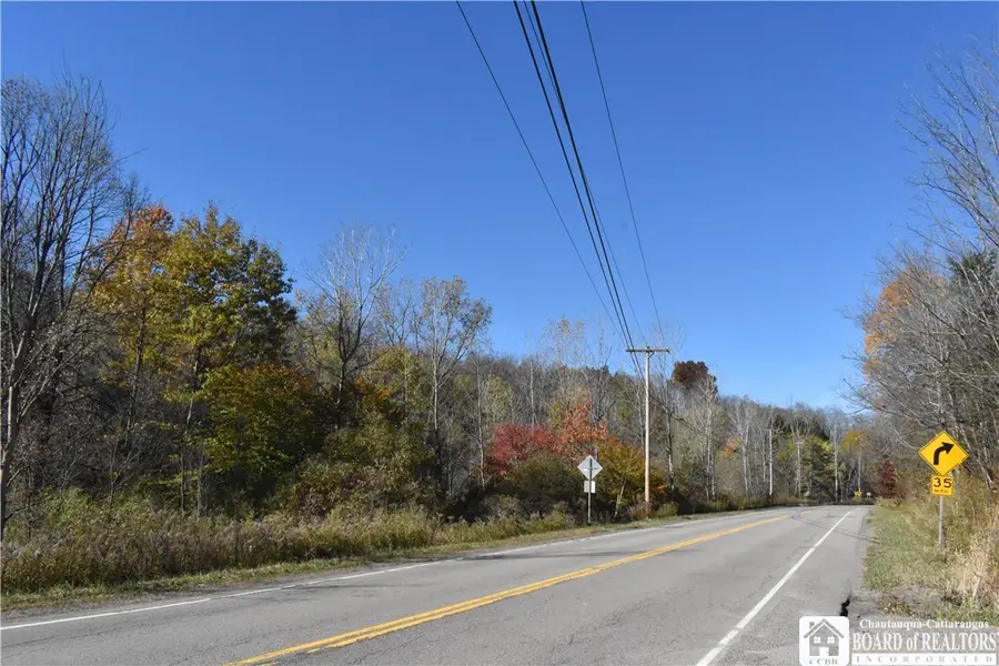 11088 Springville Boston Road, East Concord, NY 14055 - #2