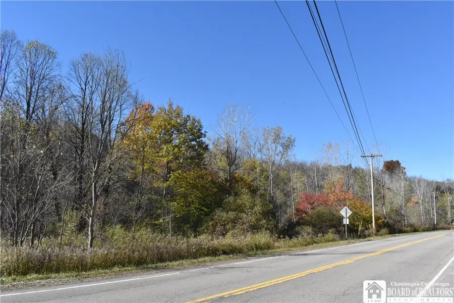 11088 Springville Boston Road, East Concord, NY 14055 - #3