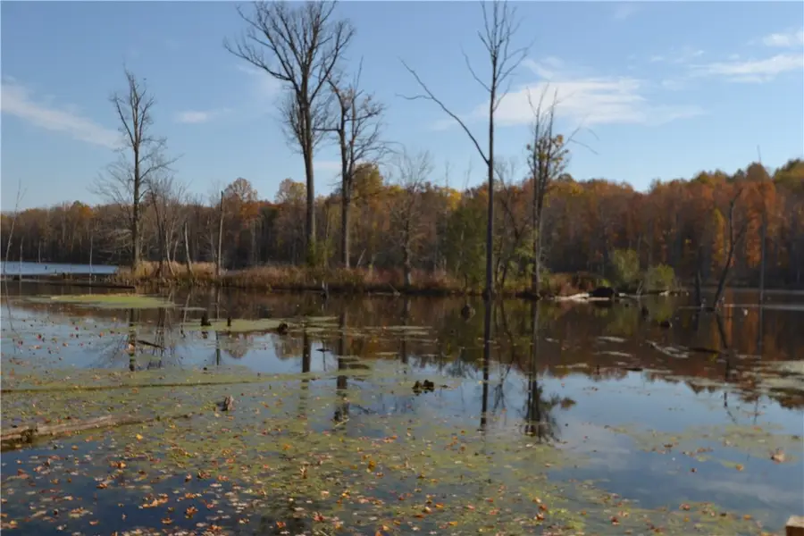 4244 Walworth Ontario Road, Walworth, NY 14568 - #3