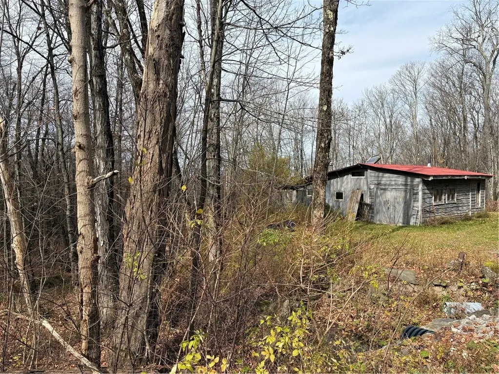 301 Mt Jefferson Road, Jefferson, NY 12093 - #1