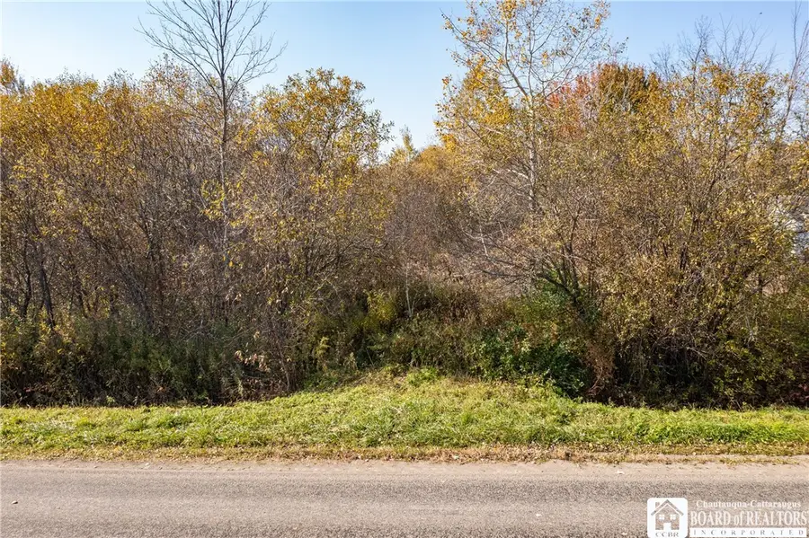 7965 Dredge Road, South Dayton, NY 14138 - #3