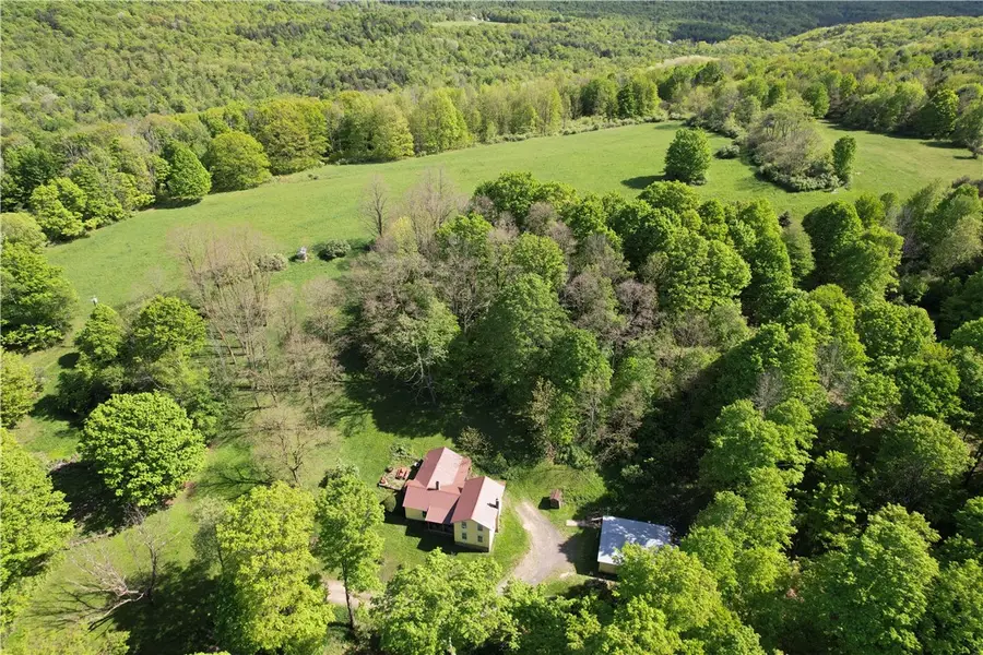 326 Park Hill Road, Erin, NY 14838 - #2