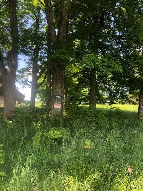 10277 Chesebro Road, West Edmeston, NY 13485 - Image #3