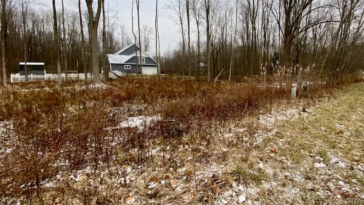 27 Elizabeth Street, Oswego, NY 13126 - #1