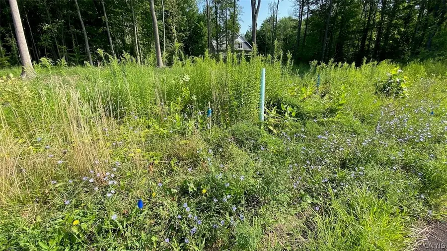 45 Obrien Glenway, Oswego, NY 13126 - #2