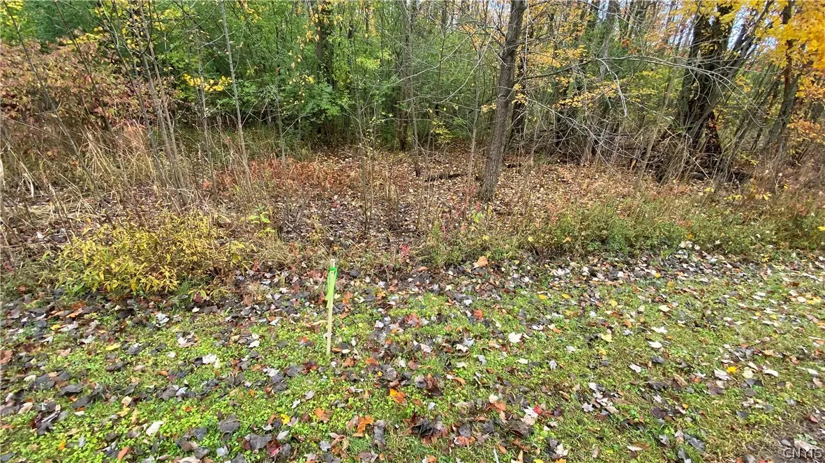 23 Jordan Way, Oswego, NY 13126 - #1