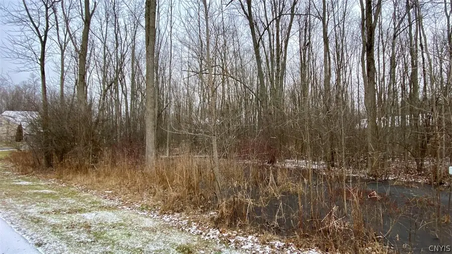 23 Jordan Way, Oswego, NY 13126 - #3