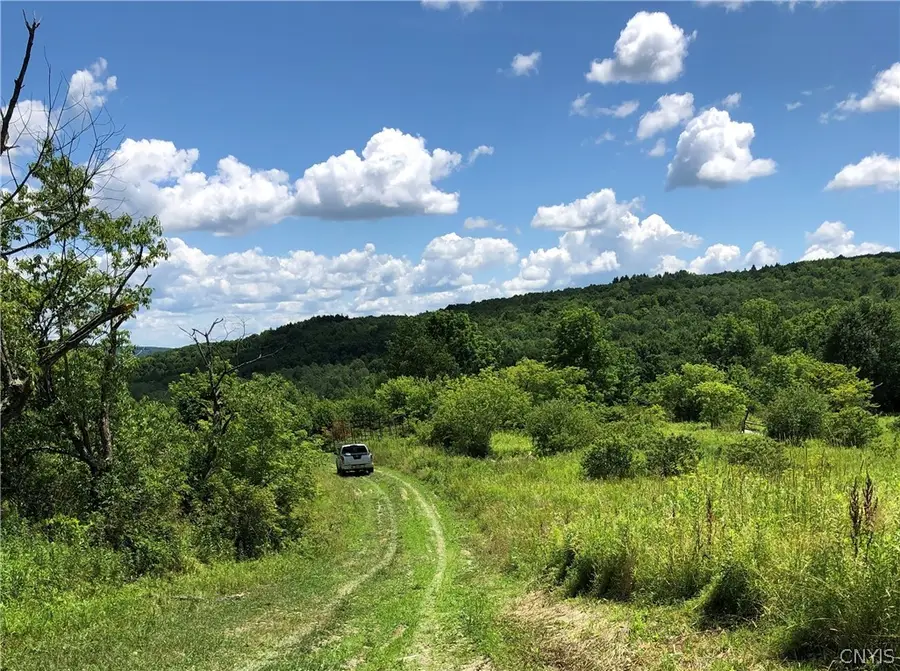 608 Pendell Hill Road, Barker, NY 13862 - Image #2