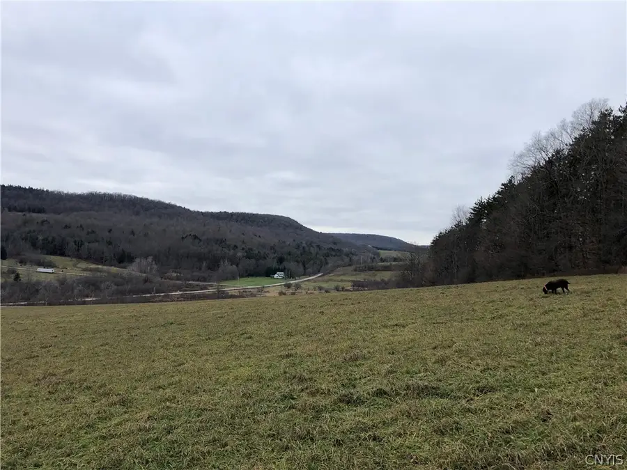 5073 S Lebanon Road, Earlville, NY 13332 - Image #2