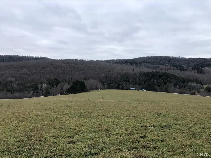 5073 S Lebanon Road, Earlville, NY 13332 - Image #3