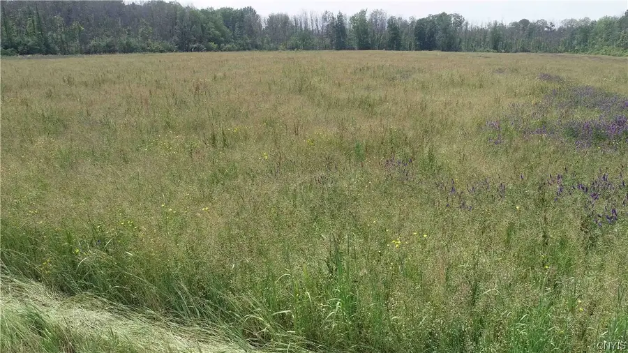 L18 Co Rt 12, Pennellville, NY 13132 - #2