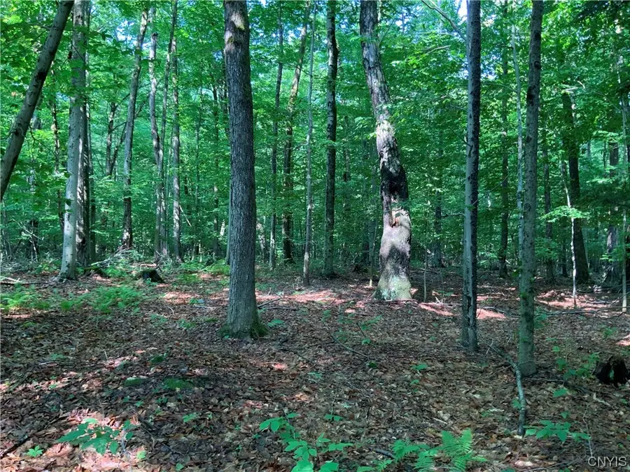 25 Lincoln Mountain Road, Greenfield Center, NY 12833 - Image #2