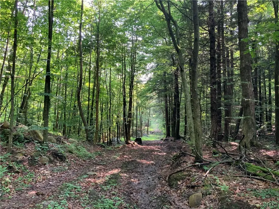 25 Lincoln Mountain Road, Greenfield Center, NY 12833 - Image #3