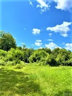 01 Overswamp Road, Saint Johnsville, NY 13452 - #1