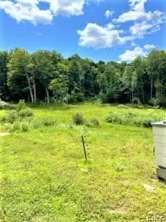 01 Overswamp Road, Saint Johnsville, NY 13452 - #3