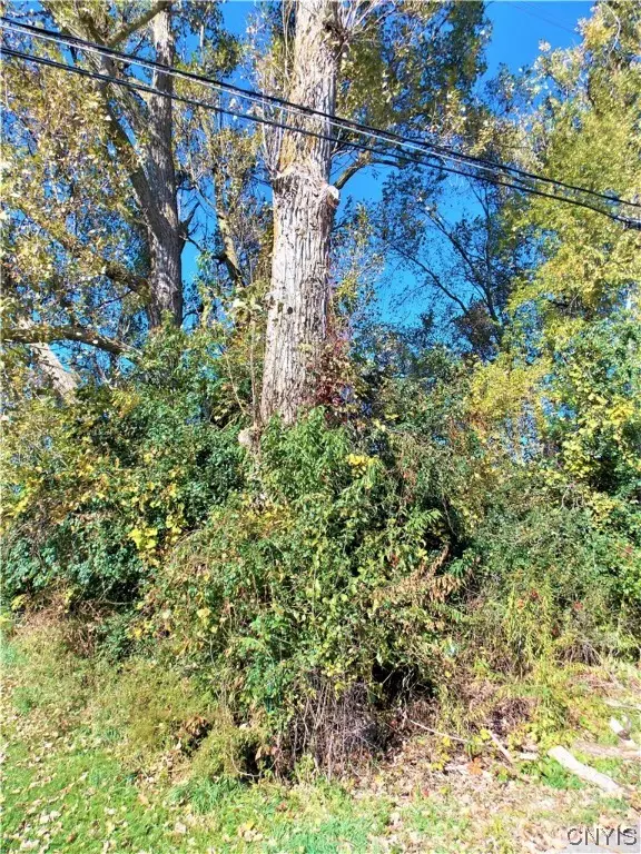 819 Beaver Lane, Carthage, NY 13619 - Image #1