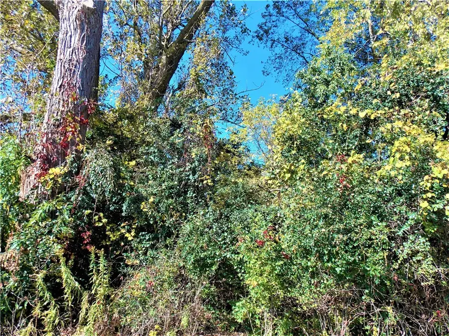 819 Beaver Lane, Carthage, NY 13619 - Image #2