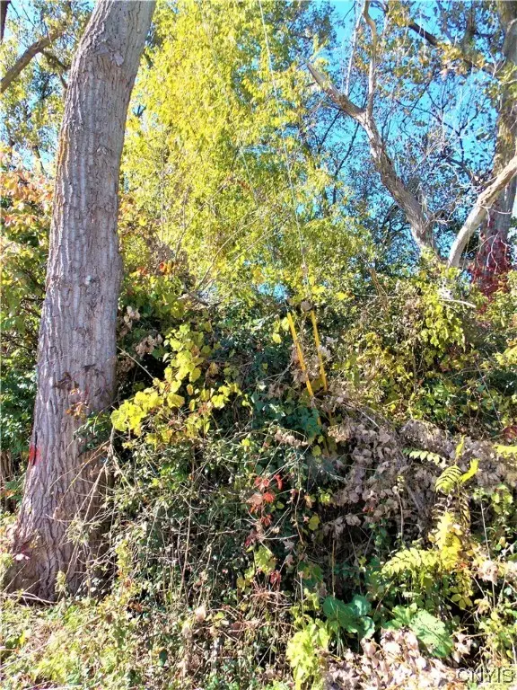 819 Beaver Lane, Carthage, NY 13619 - Image #3